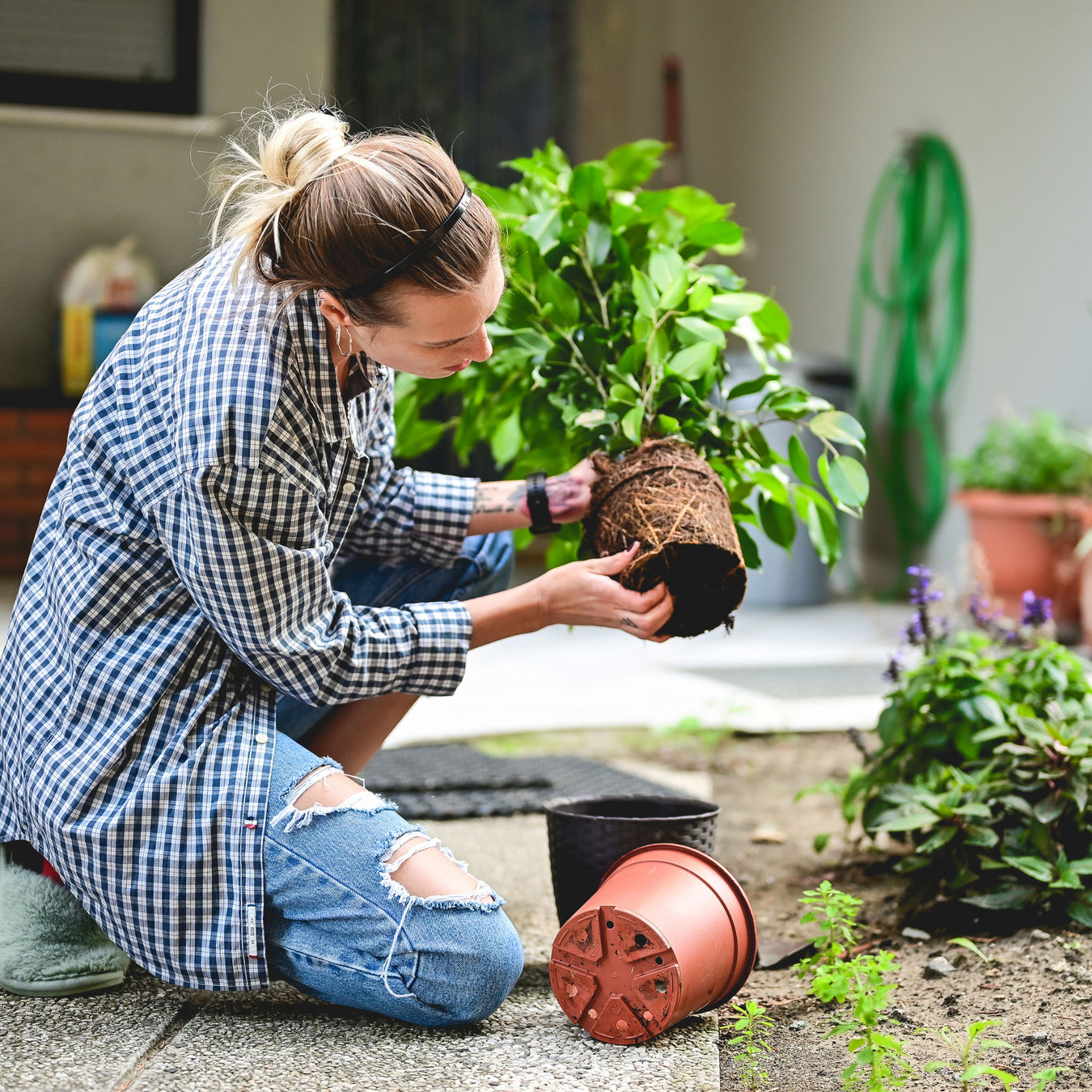 Home, Garden & Tools